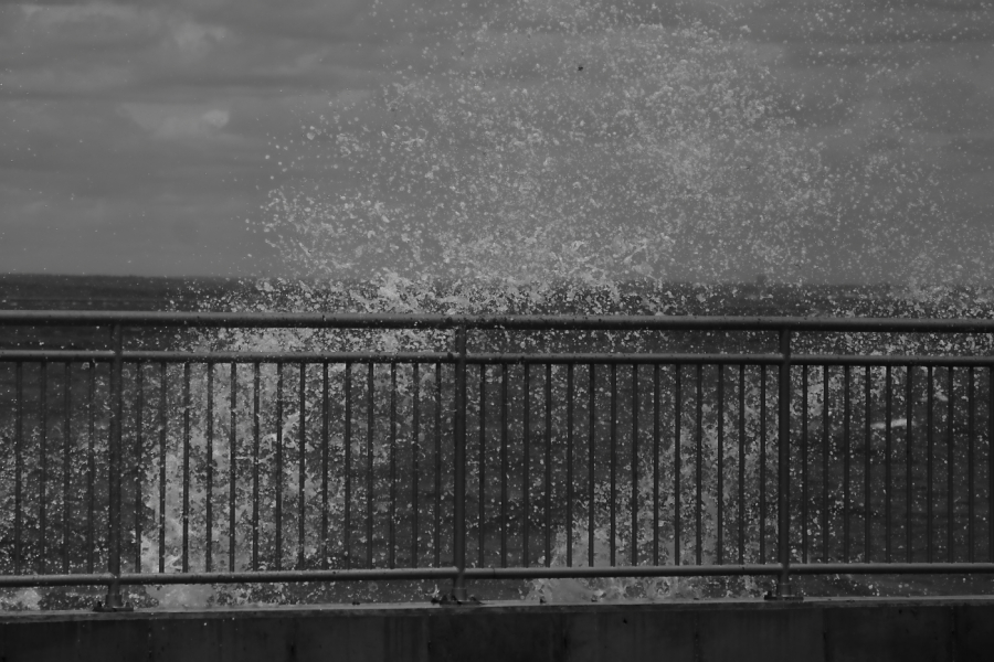 2013 05 26 IMG 07580ebw